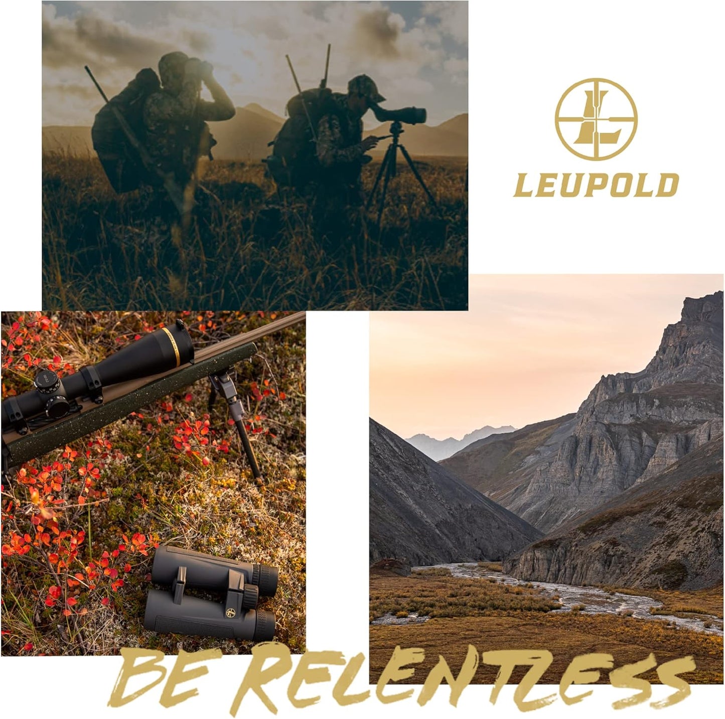 Binóculo Leupold BX-1 McKenzie HD 12x50 Shadow Gray